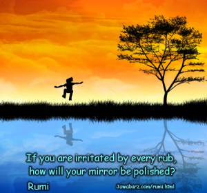 ... every rub, how will your mirror be polished? | Rumi Quotes on Sufism