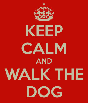 keep calm and walk the dog