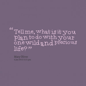Quotes Picture: tell me, what is it you plan to do with your one wild ...