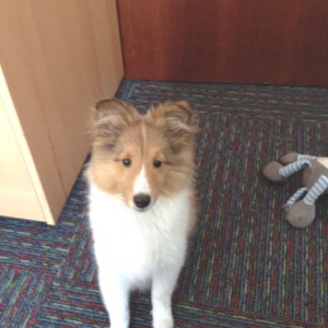 Pinned by Brittany Robins