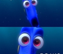 cute-dori-fish-funny-776084.jpg