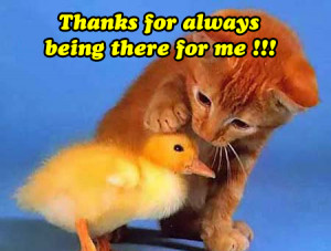 Thanks for always being there for me !!!