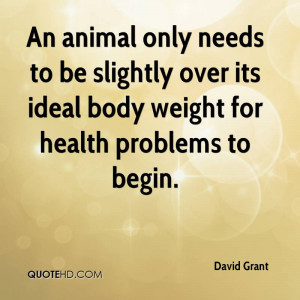 ... Over Its Ideal Body Weight For Health Problems To Begin - Animal Quote