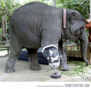 Life's not all Beer and Skittles