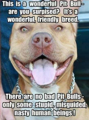 don t judge my pit bull this is the truth educate yourself and don t ...