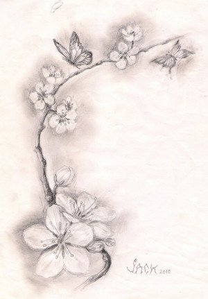 Dracones Tattoo Studio Sketch Cherry Blossoms