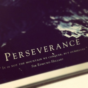 Quotes / #perseverance #inspiring #wisdom #quote #mountain #ourselves ...