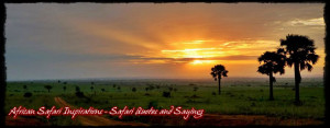 African Safari Inspirations – Safari Quotes and Sayings