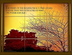 150 Bibles bids starting at $ 1 no reserve w and free shipping? YES ...