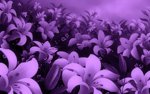 Purple lilies 8847