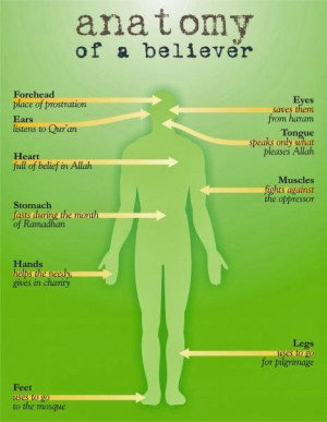Inspirational Islamic Quotes : Believe and Praying