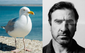 Eric Cantona Seagull Quote