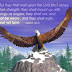 Bible Quotes About Lifes Journey Bible quotes about lifes