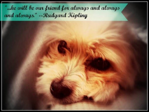 Picture of dog resting on couch with quote from Rudyard Kipling ...