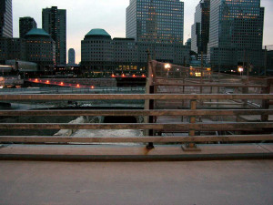 Ground Zero and St Paul 39 s Church