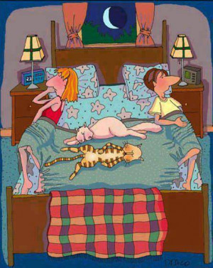 Funny cartoon – Sleeping with pets