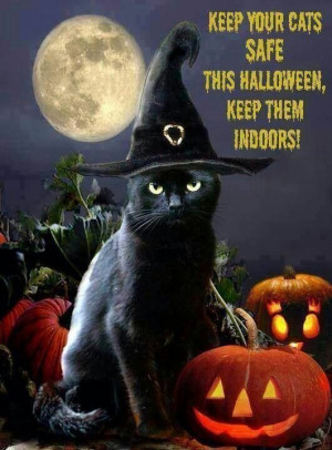 Please keep your pets safe on Halloween!