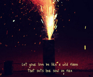 ... sayings sparks faisca wild flame fire soul love love quotes love quote