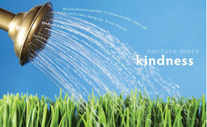 Feathers of Kindness – Nurture More Kindness