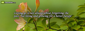 Letting go is not always about forgetting the past, but living and ...