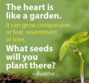 ... grow compassion or fear, resentment or love. What seeds will you plant