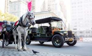 car really replace central park s horse drawn carriages horses ...