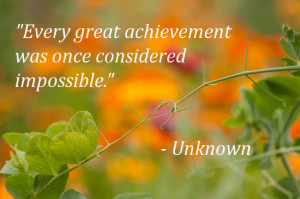 Every great achievement was once considered impossible.