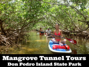 Don Pedro Island Florida