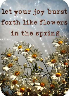 ... in the spring inspirational quotes more life quotes quotes happy