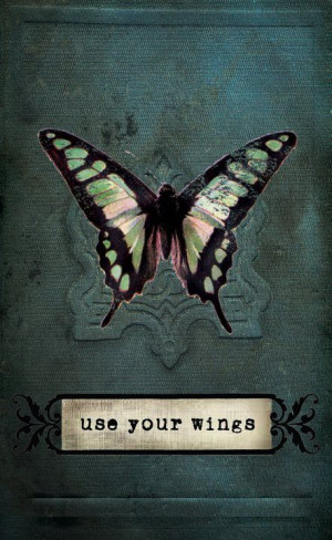 ... your Wings 