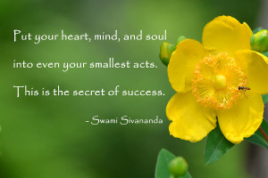 Yellow Flower With Success Quote Photograph