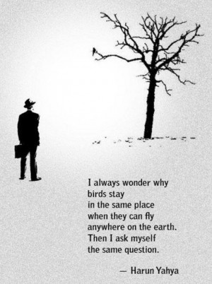 simple, meaningful quote..