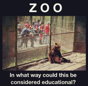 like the idea of zoos but they should simulate natural environs to ...