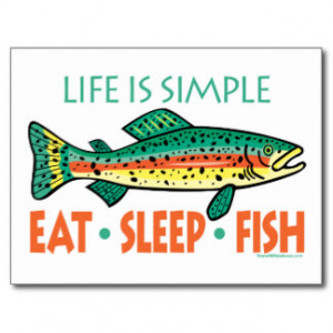 Funny Fish Sayings Postcards