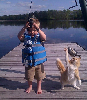 搞笑猫和儿童图片