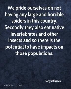 We pride ourselves on not having any large and horrible spiders in ...