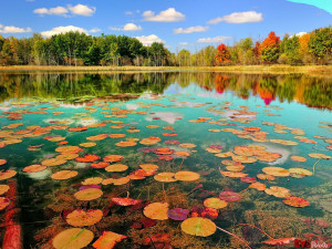 Beautiful Water Nature HD Wallpaper