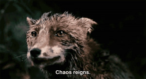 ... Chaos Reigns, Google Search, Image, Movie Quotes, Lar Von Trier, Gif