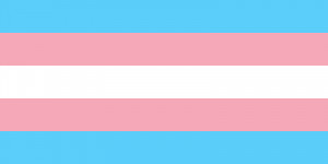 Descrizione Transgender Pride flag.svg