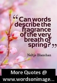 this card brings to you a little ray of sunshine get well soon quote