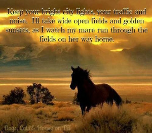 Horses and wild open spaces