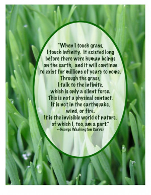 Blades Of Grass Quotes