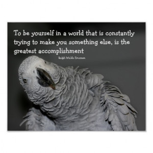 Be Yourself Quote Cute Parrot Inspirational Poster