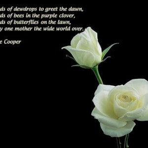 White Rose Pictures with Love Quotes