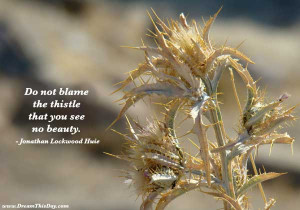 ... Quotes about Thistle from my large collection of inspirational quotes