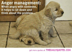 funny-quotes-anger-pic-cute-animal-pictures-quote-pics.jpg