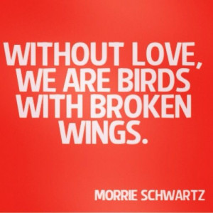 Tuesdays With Morrie Quote.