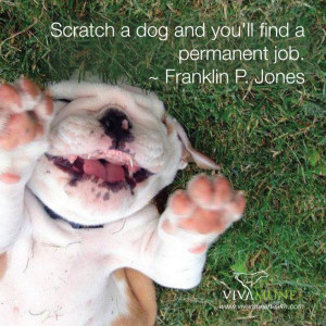 Scratch a dog and you'll find a permanent job ~F.P Jones