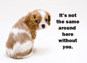 Miss You Text Messages