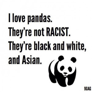 Photos, Quotes, Geen Racisme, Pandas